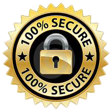 secure payments online via ssl